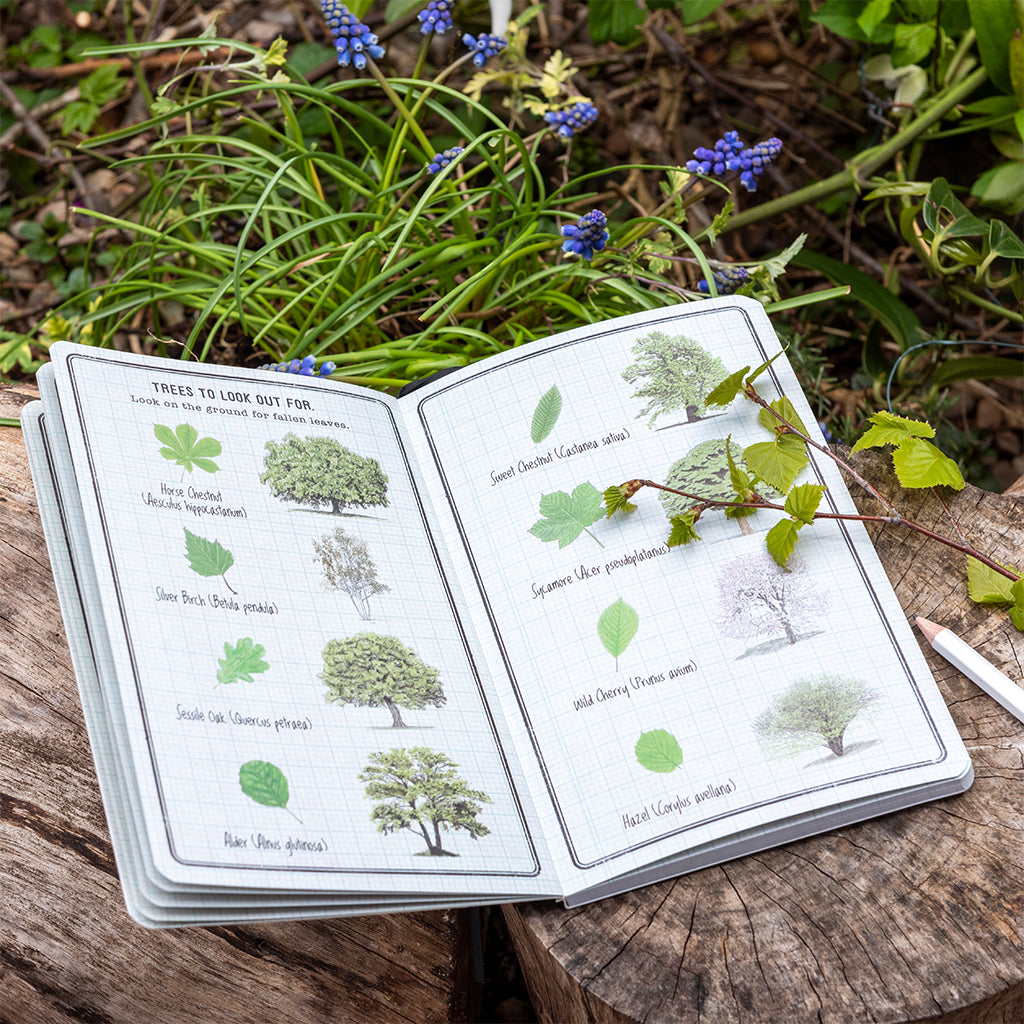 Rex London - Kinderjournal Natuurontdekkingen