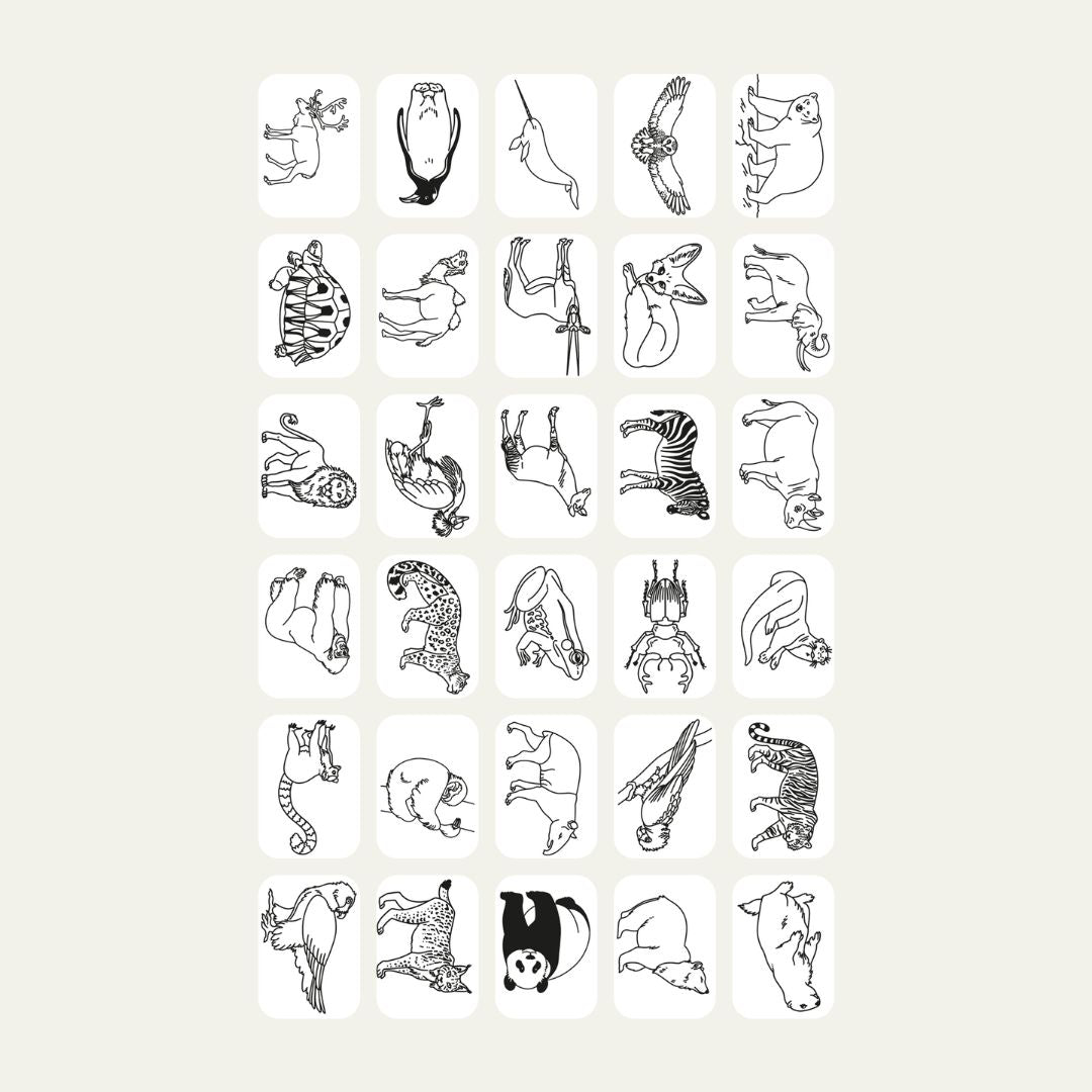 Kidywolf - Kidydraw-mini refill navulling - 60 kaarten animals around the world & oceans and pirates