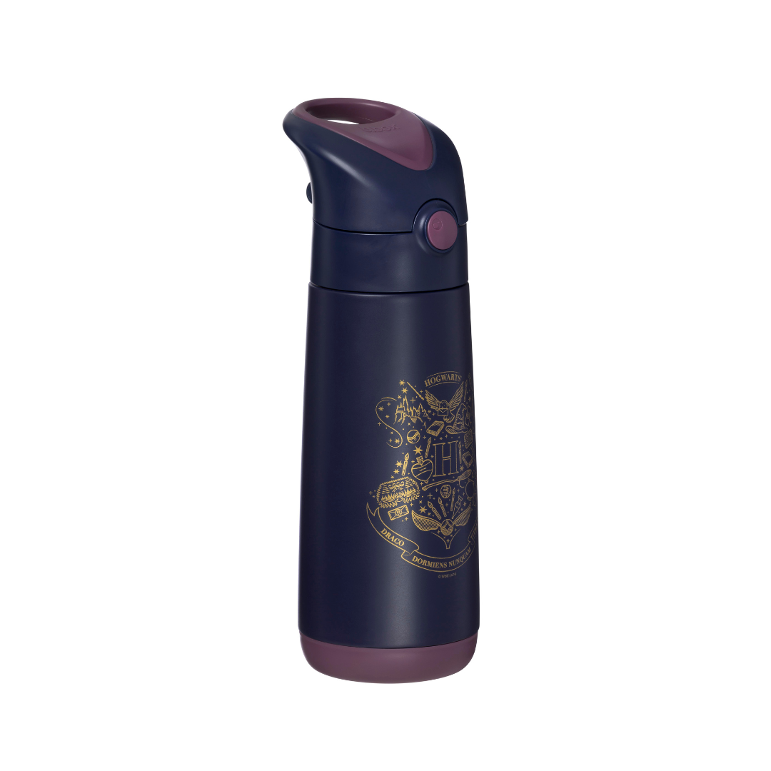 b.box - Harry Potter 500 ml geïsoleerde drinkfles