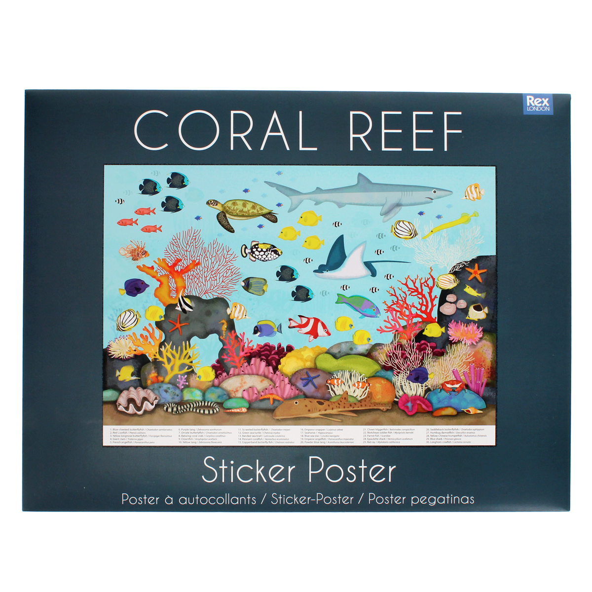 Rex London - Poster met herbruikbare stickers (50x70cm) Koraalrif