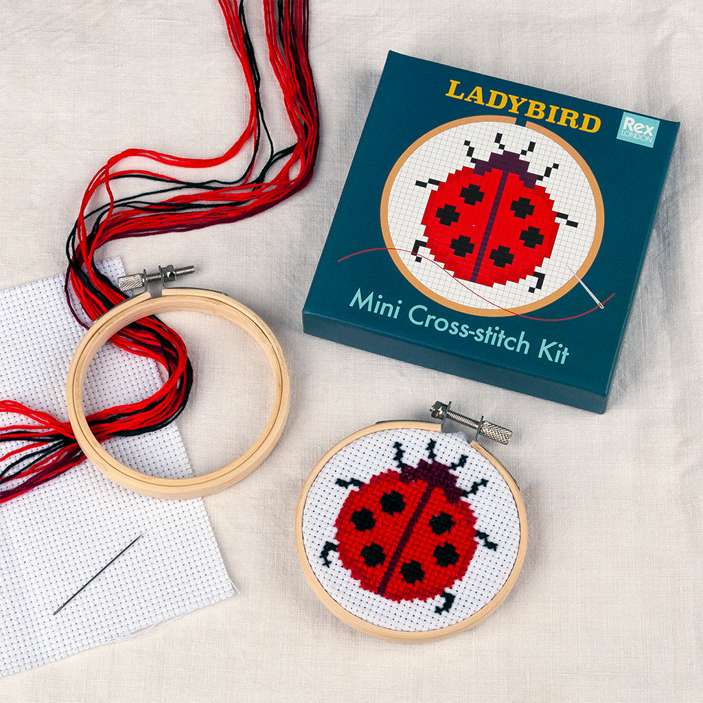 Rex London - Mini Borduurpakket Lieveheersbeestje