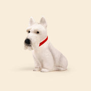 Egmont Toys - Lamp Hond Scotty 34 x 39 cm - Heico