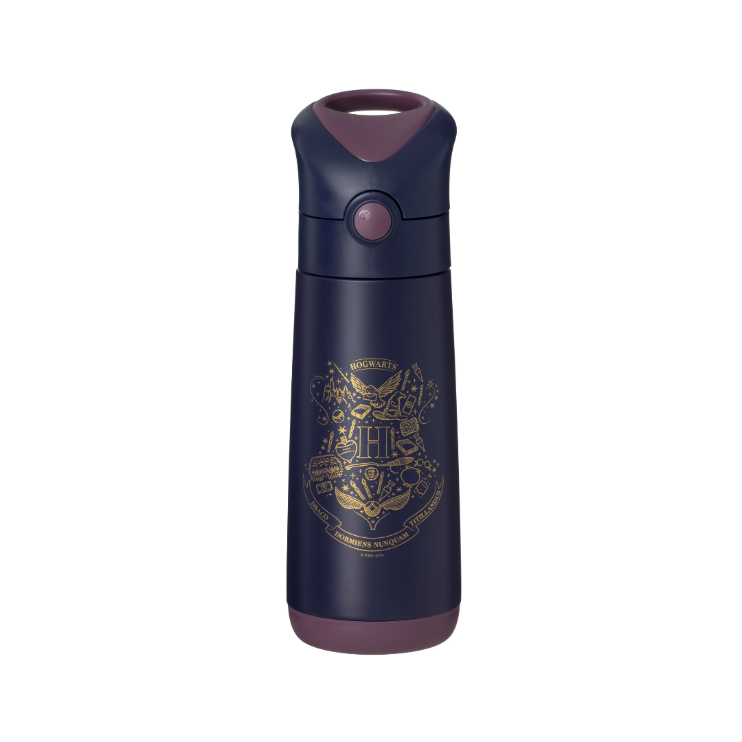 b.box - Harry Potter 500 ml geïsoleerde drinkfles