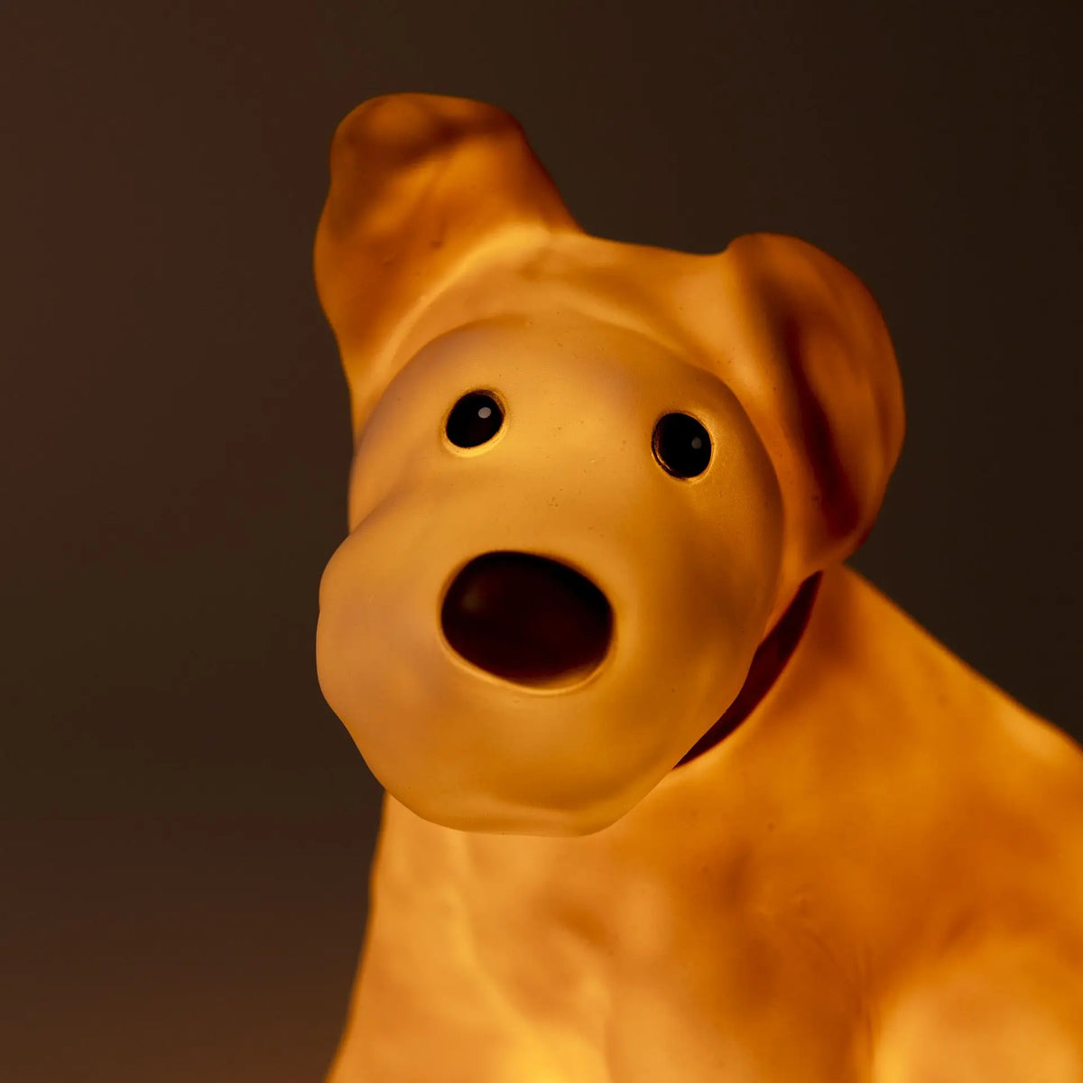 Egmont Toys - Lamp Hond Eliot 24 x 23 cm - Heico
