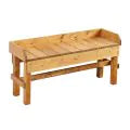 Cosy - Hoge Ontdektafel voor Natuuronderzoek