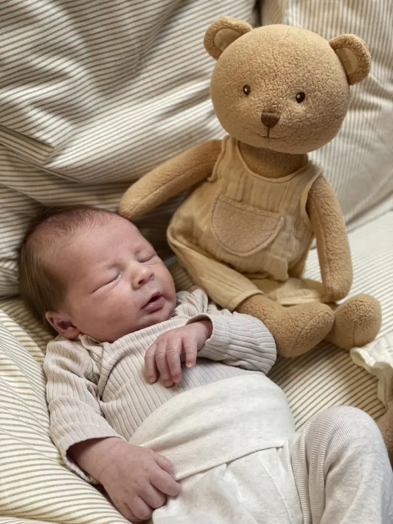 Egmont Toys - Marcel de beer groot