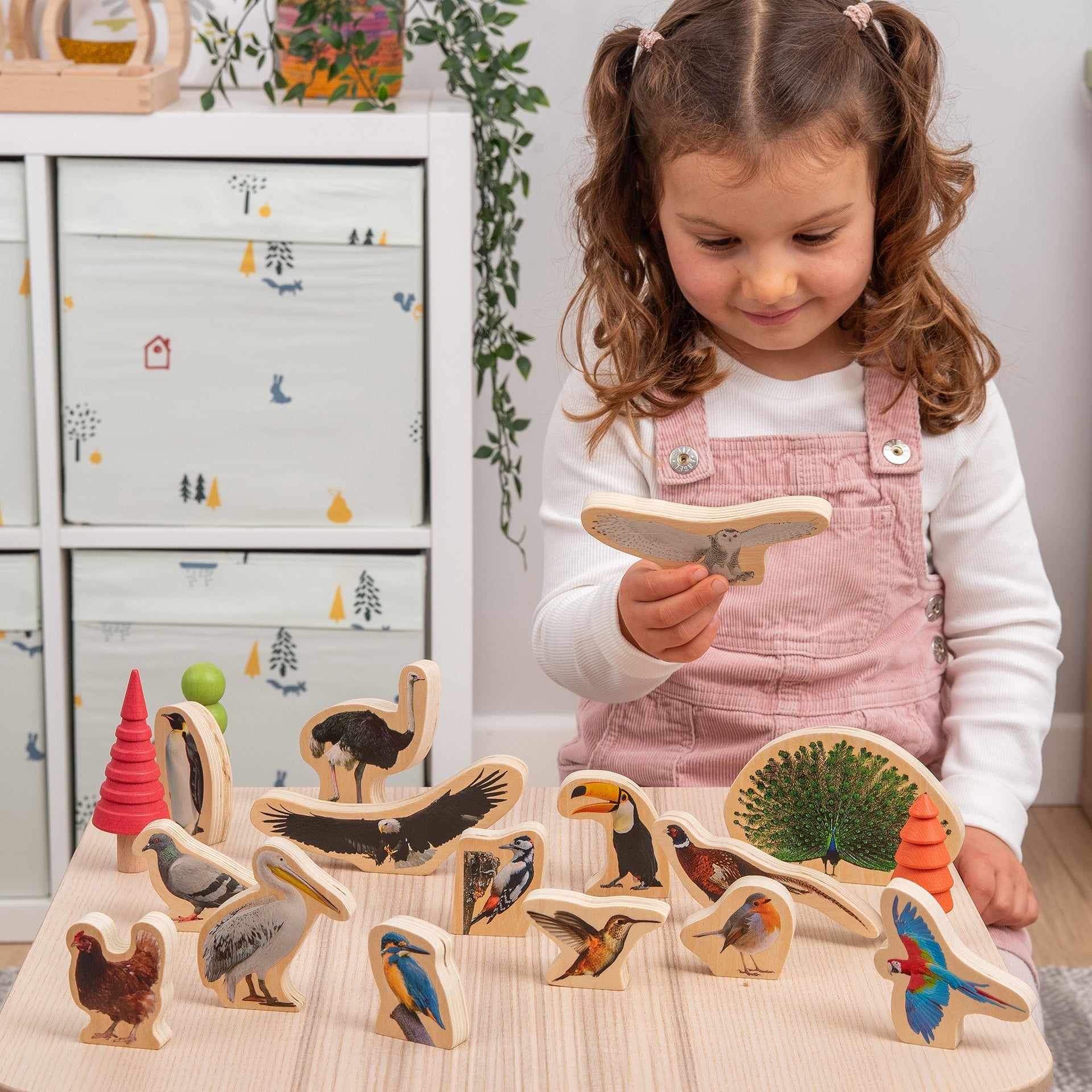TickiT - Houten Vogels Blokken