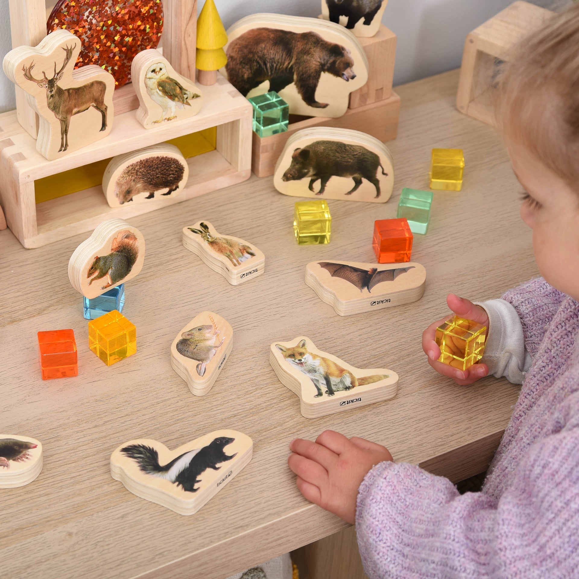 TickiT - Houten Bosdieren Blokken