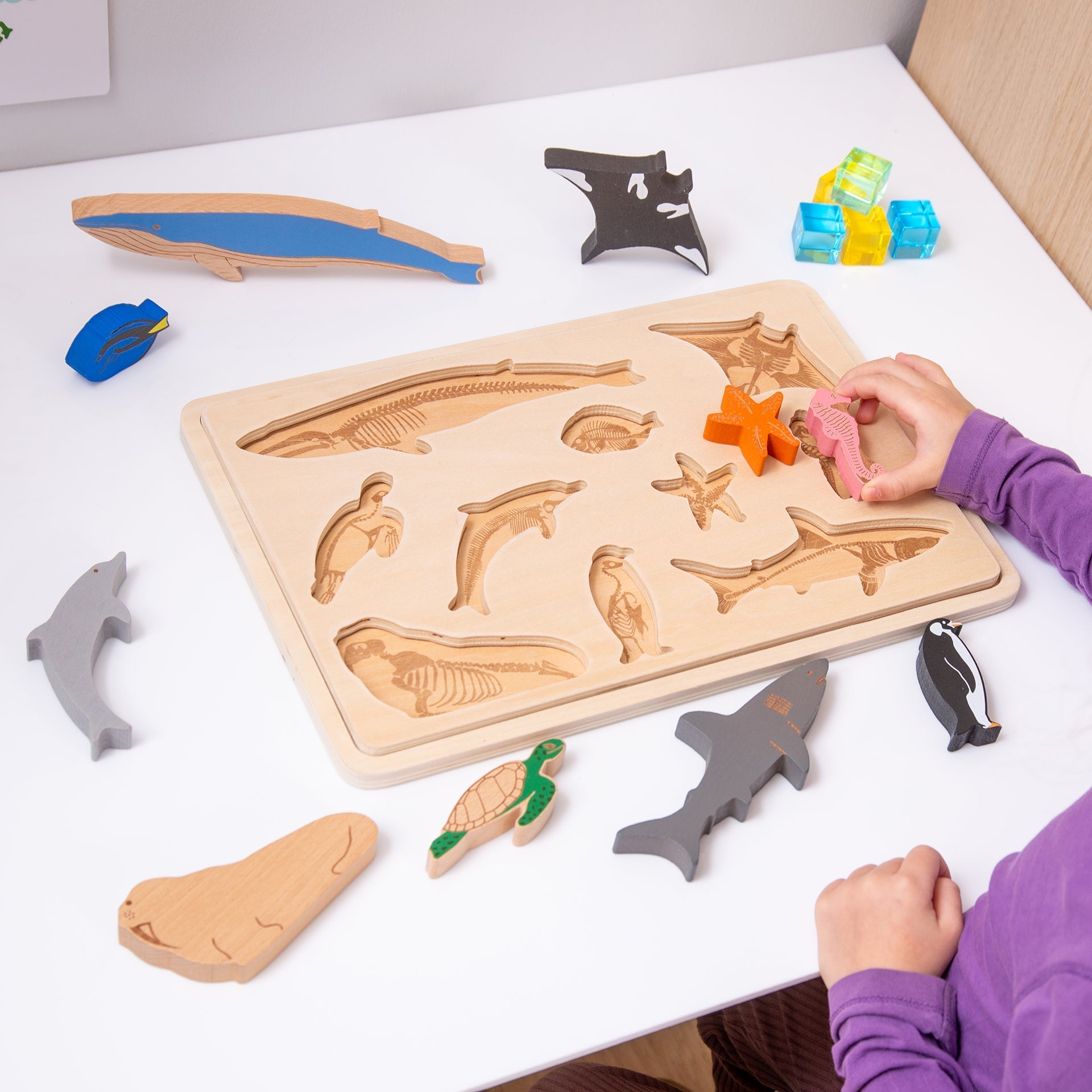 TickiT - Oceaan Dieren Lagenpuzzel