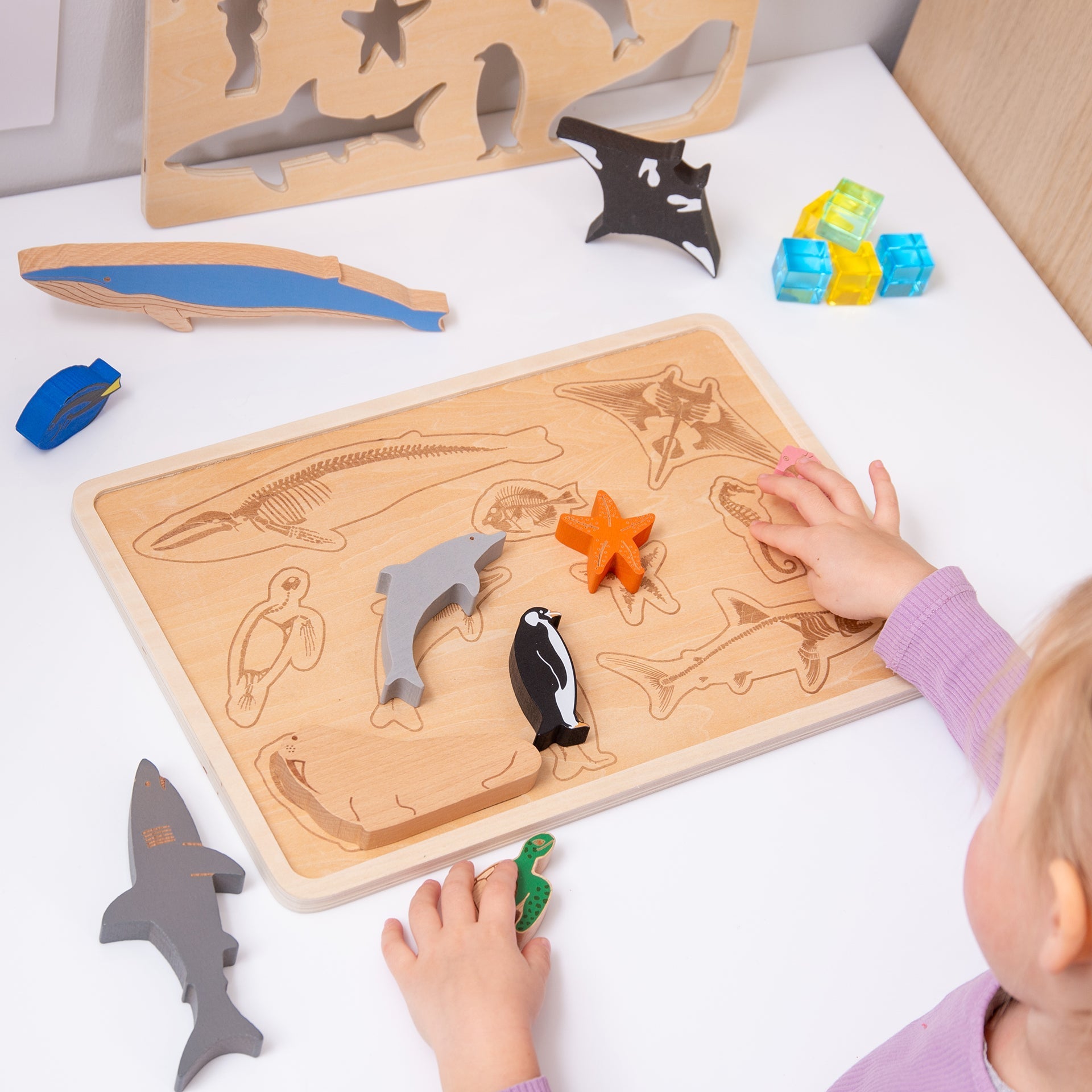 TickiT - Oceaan Dieren Lagenpuzzel