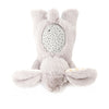Cloud B - Dream Buddies® - Benny Bunny