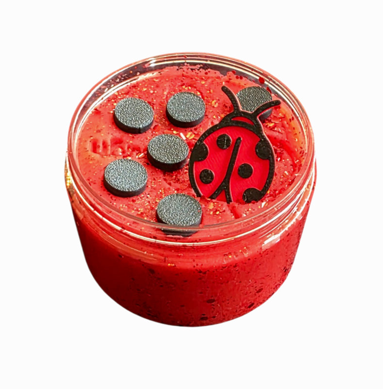 SensoryDough Speeldeeg Thema — LadyBug