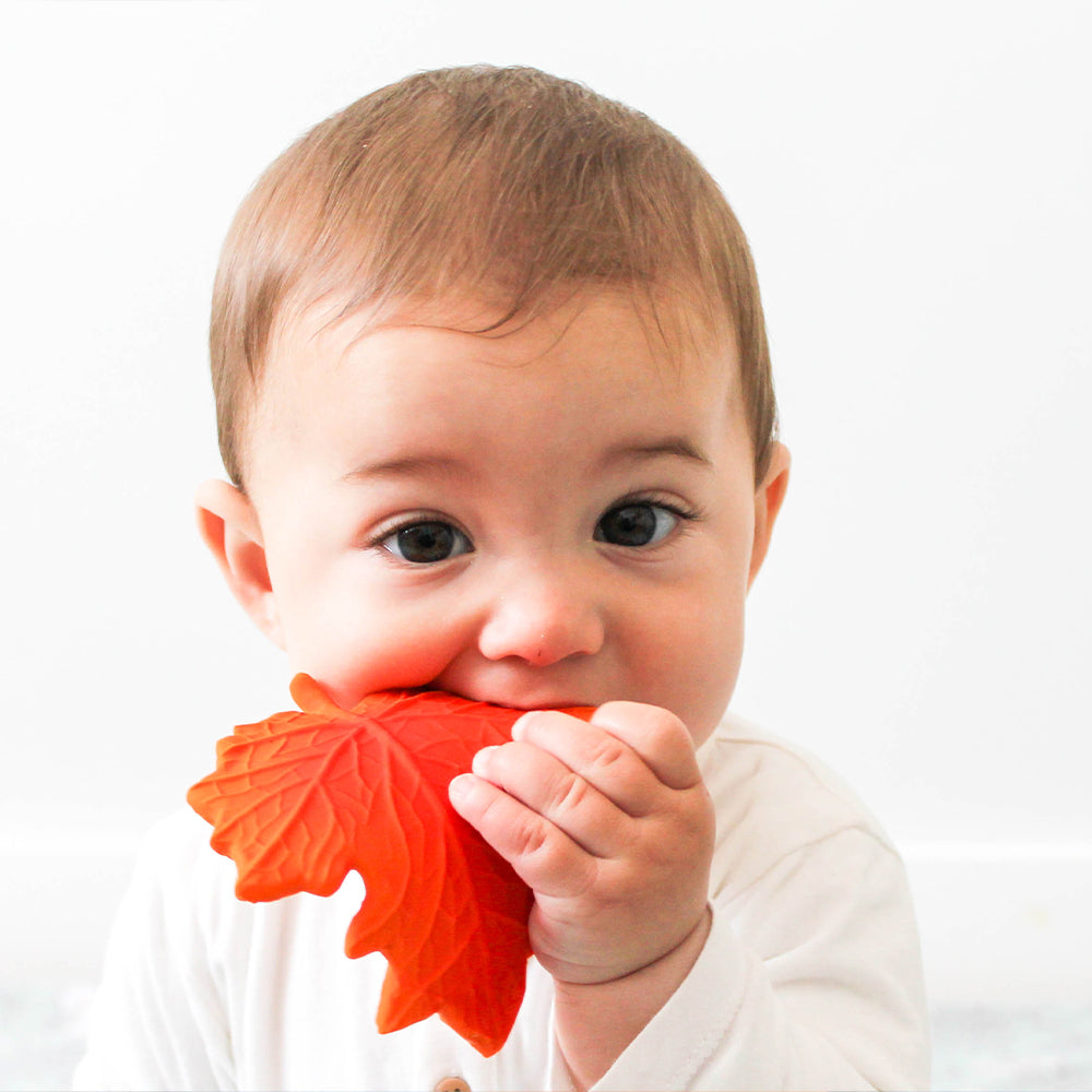 Lanco - Herfstblad - Bijtspeelgoed