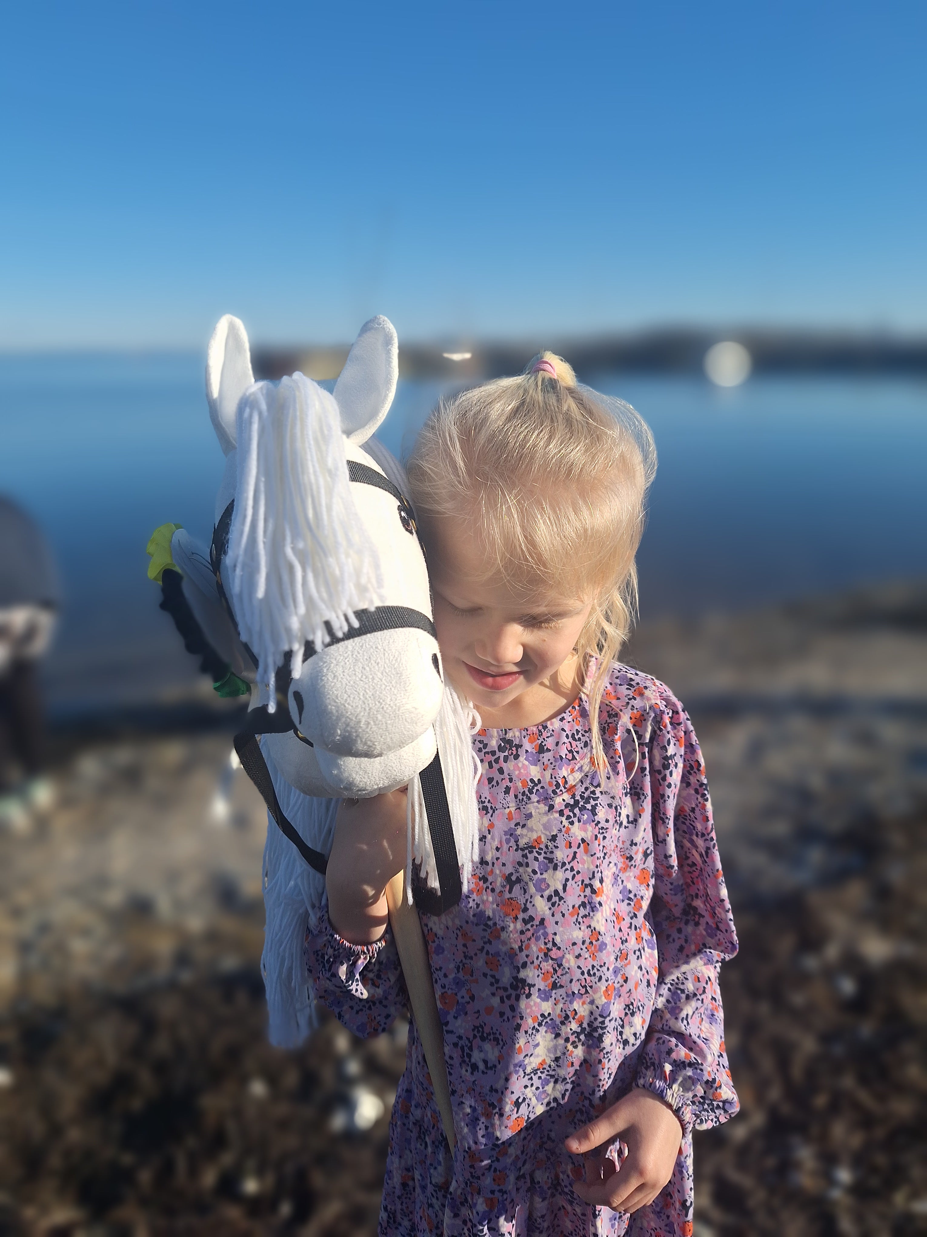 VOORDEELSET Byastrup deluxe stokpaard + LIMITED rozet + LIMITED dekje + tas