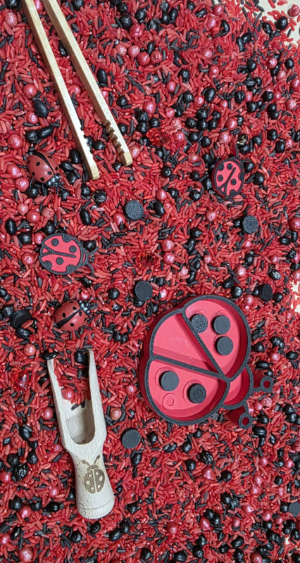 SensoryFun PourAndPlay Speelset — LadyBugs