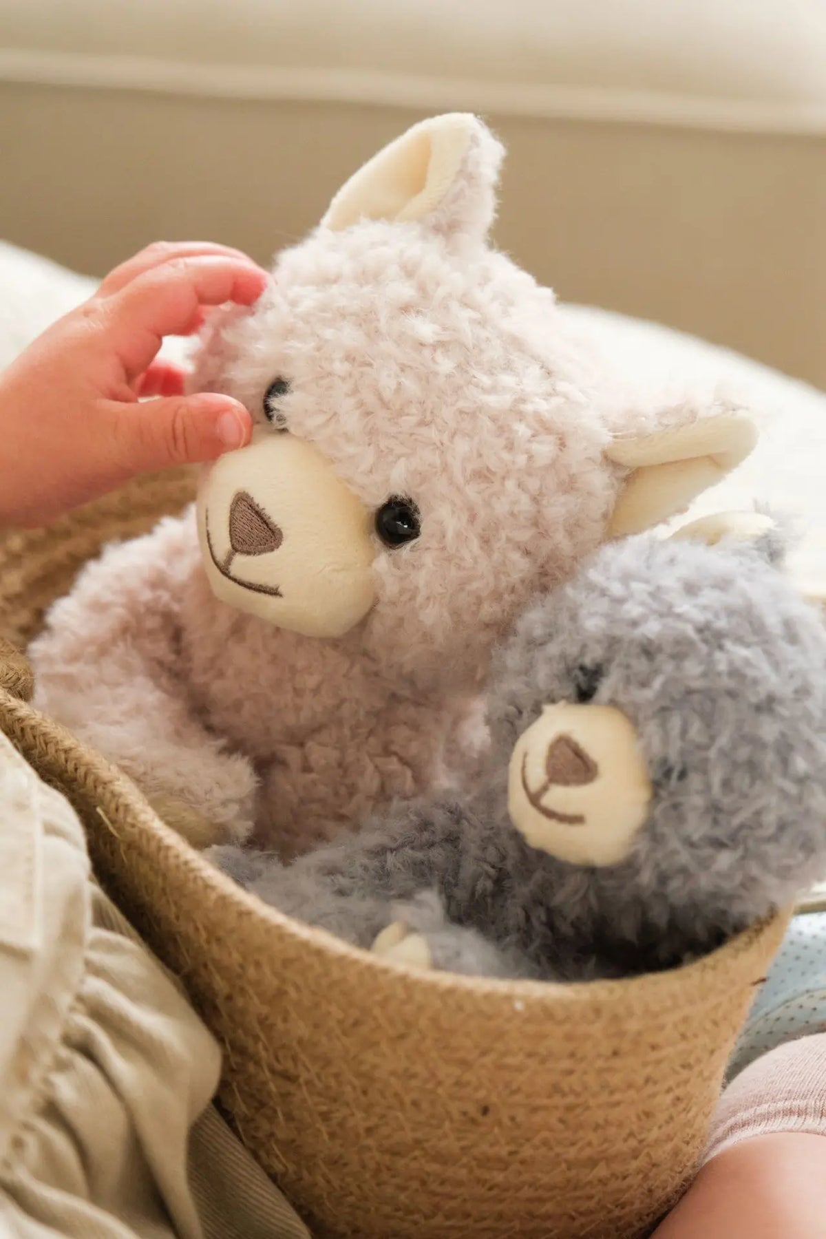 Egmont Toys - Duo Romy de katten groot