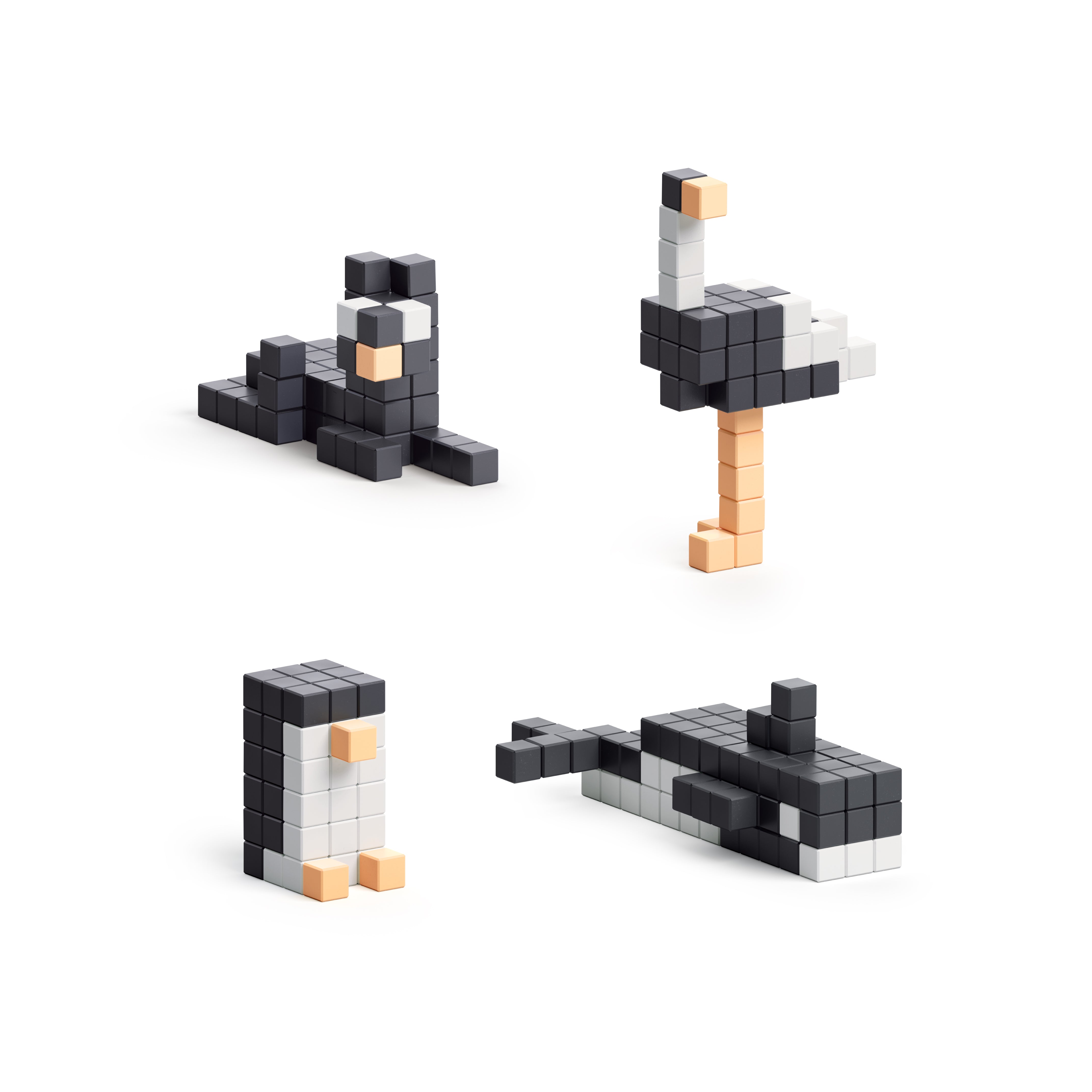 Pixio - Story Black & White Animals - 195 magneetblokjes