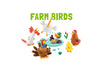 Hey Clay - Boerderijvogels (15 potjes)