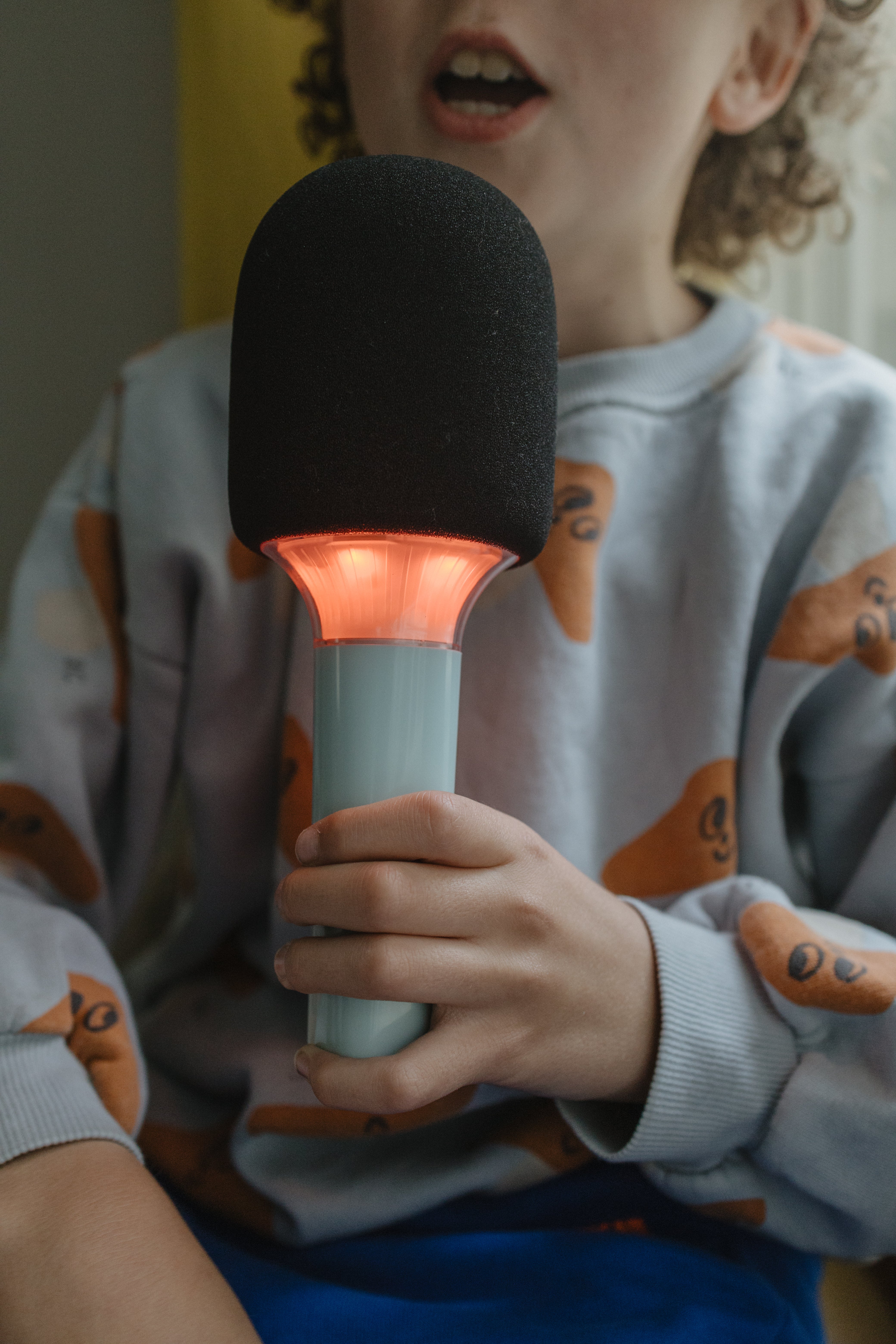 Kidywolf - Microfoon met karaoke groen