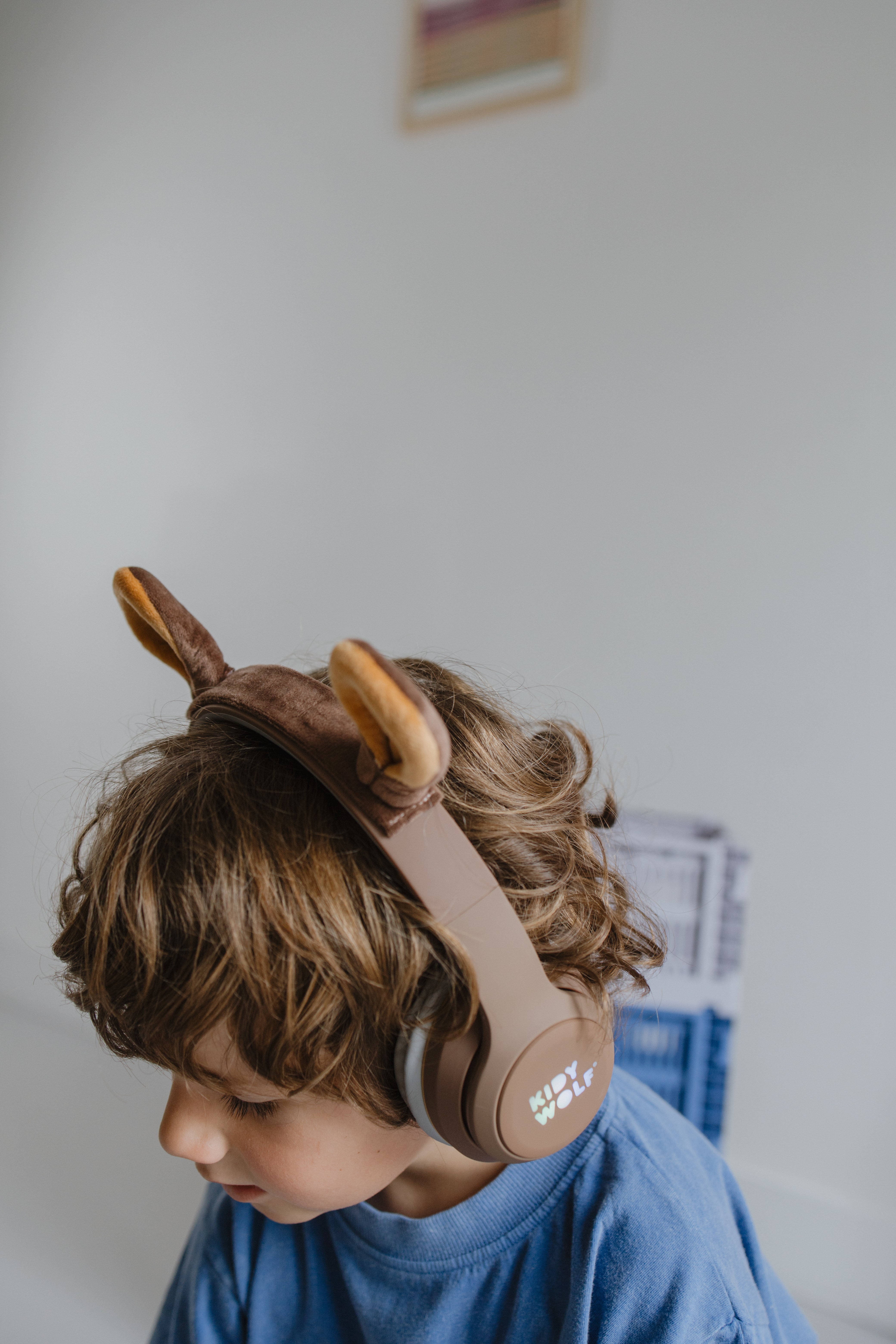 Kidywolf - KidyEars Bear - kinderkoptelefoon