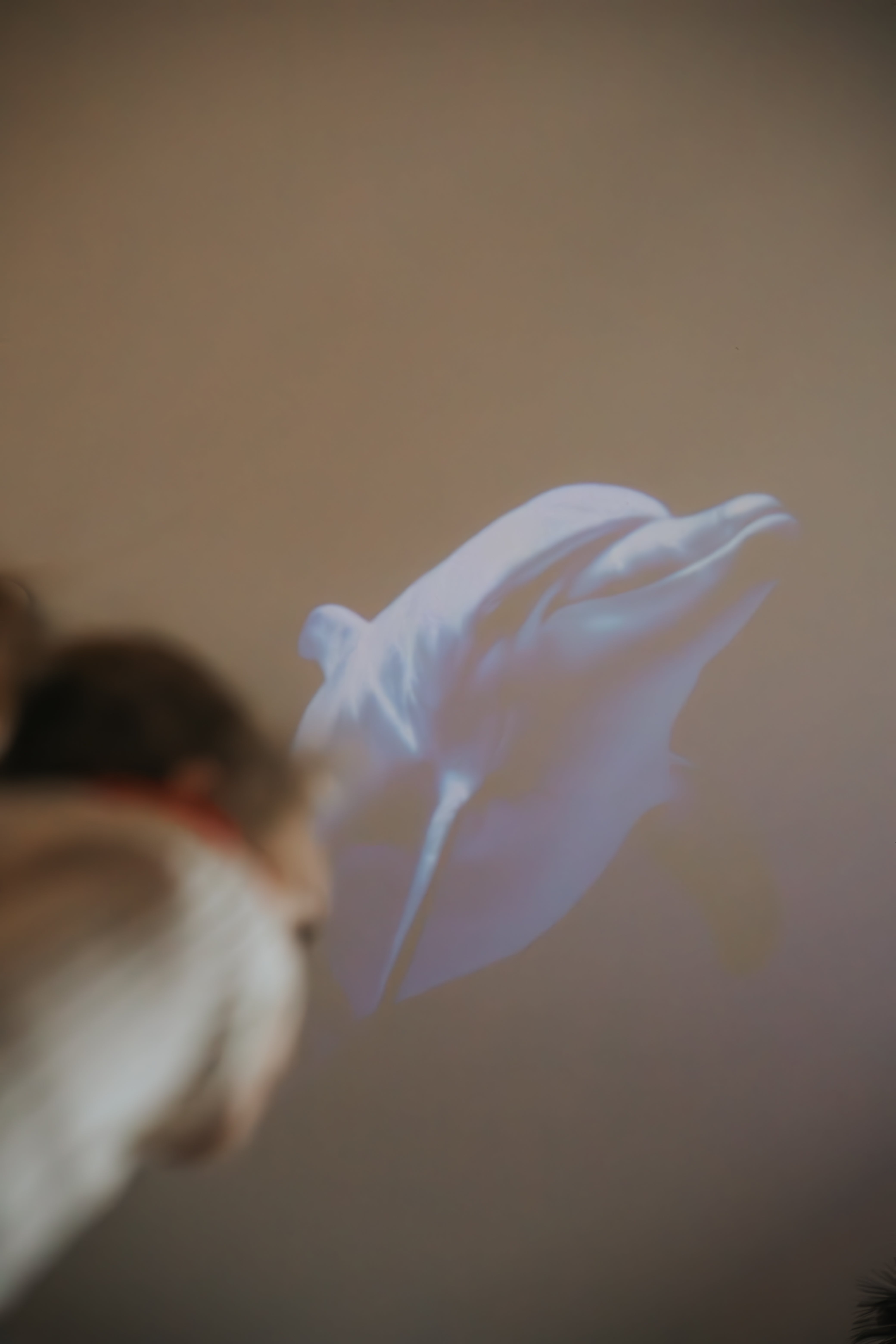 Kidywolf KIDYSTAR Galaxy Projector Planetarium