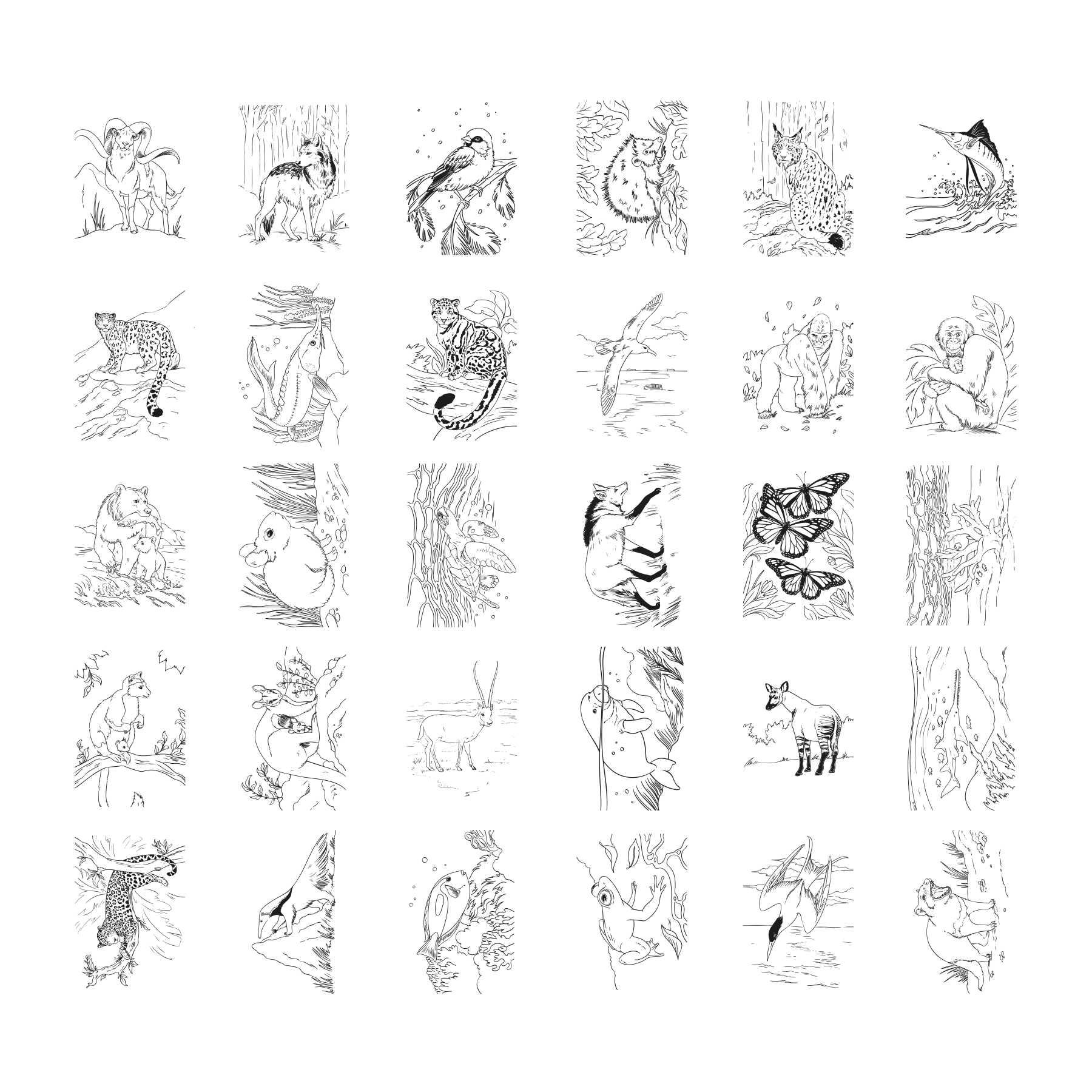 KIDYDRAW PAD 8+ Lichtgevende Tekentablet met 30 Tekensjablonen Dieren