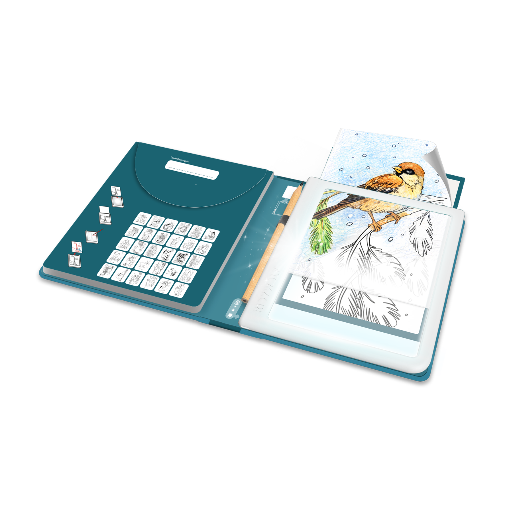 KIDYDRAW PAD 8+ Lichtgevende Tekentablet met 30 Tekensjablonen Dieren