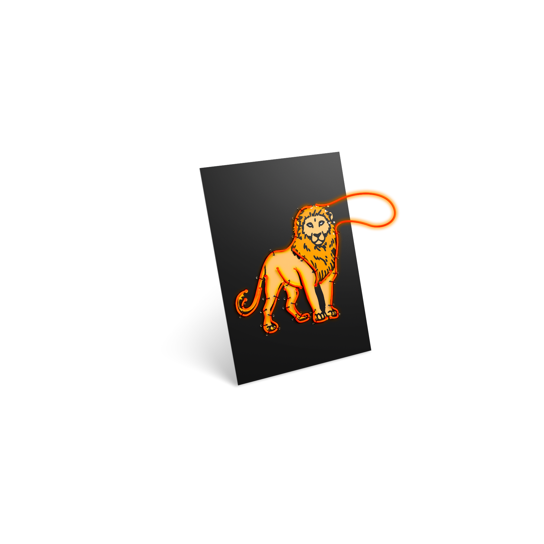 Kidywolf - Kidyneon - Animals