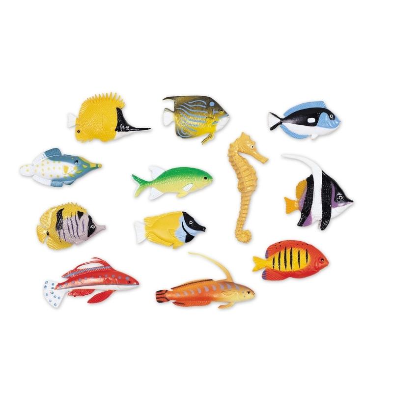 Twaalf verschillende vissen om te sorteren