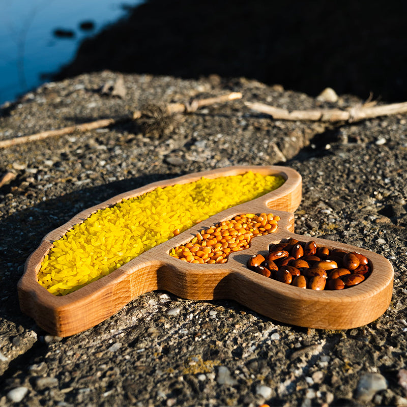 Pagalou - Sensorische houten tray - Paddenstoel