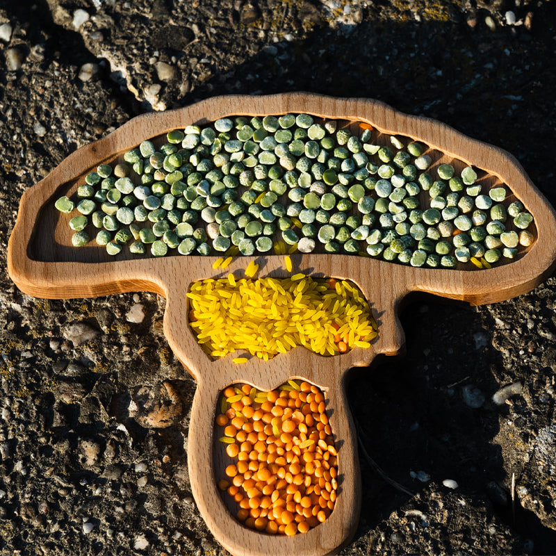 Pagalou - Sensorische houten tray - Paddenstoel