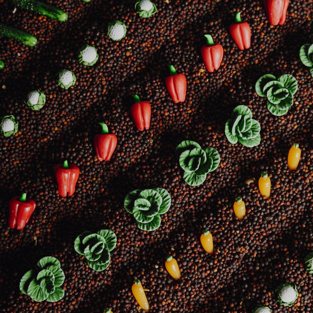 Petit Boum - Groenten Sensorische fles