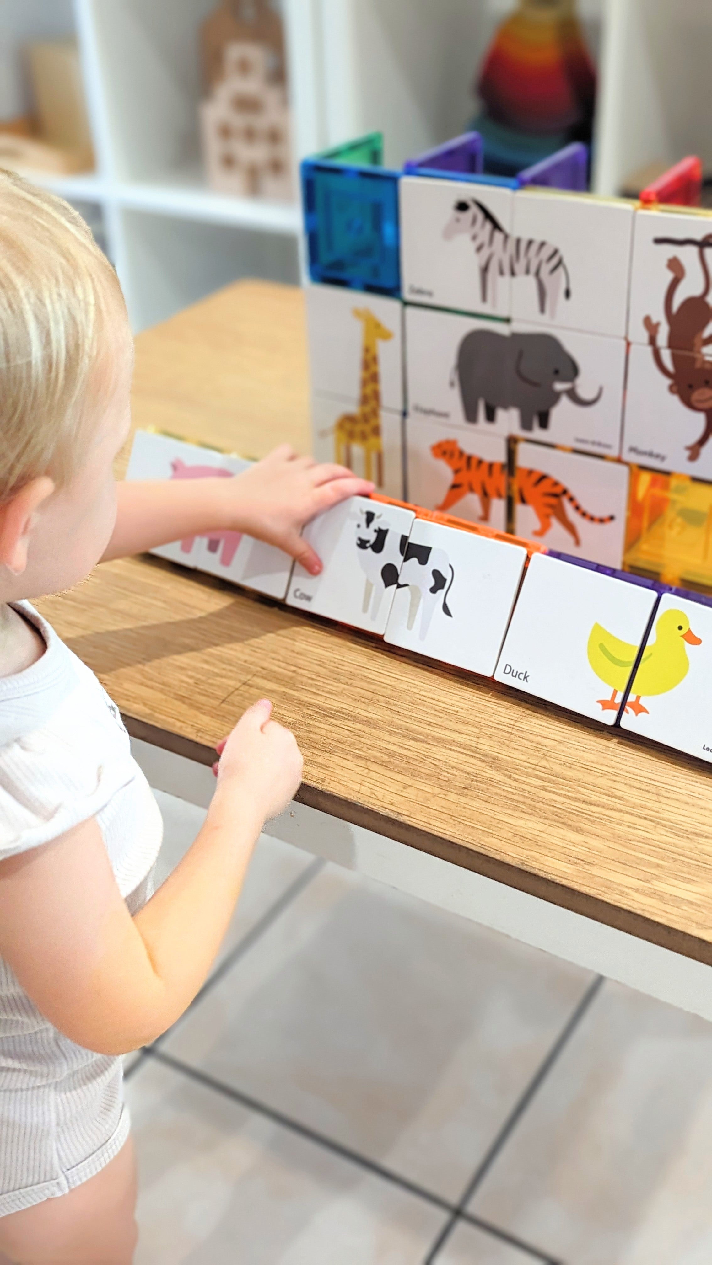 Learn And Grow - Magnetisch constructiespeelgoed Toppers Dieren - 40 stuks