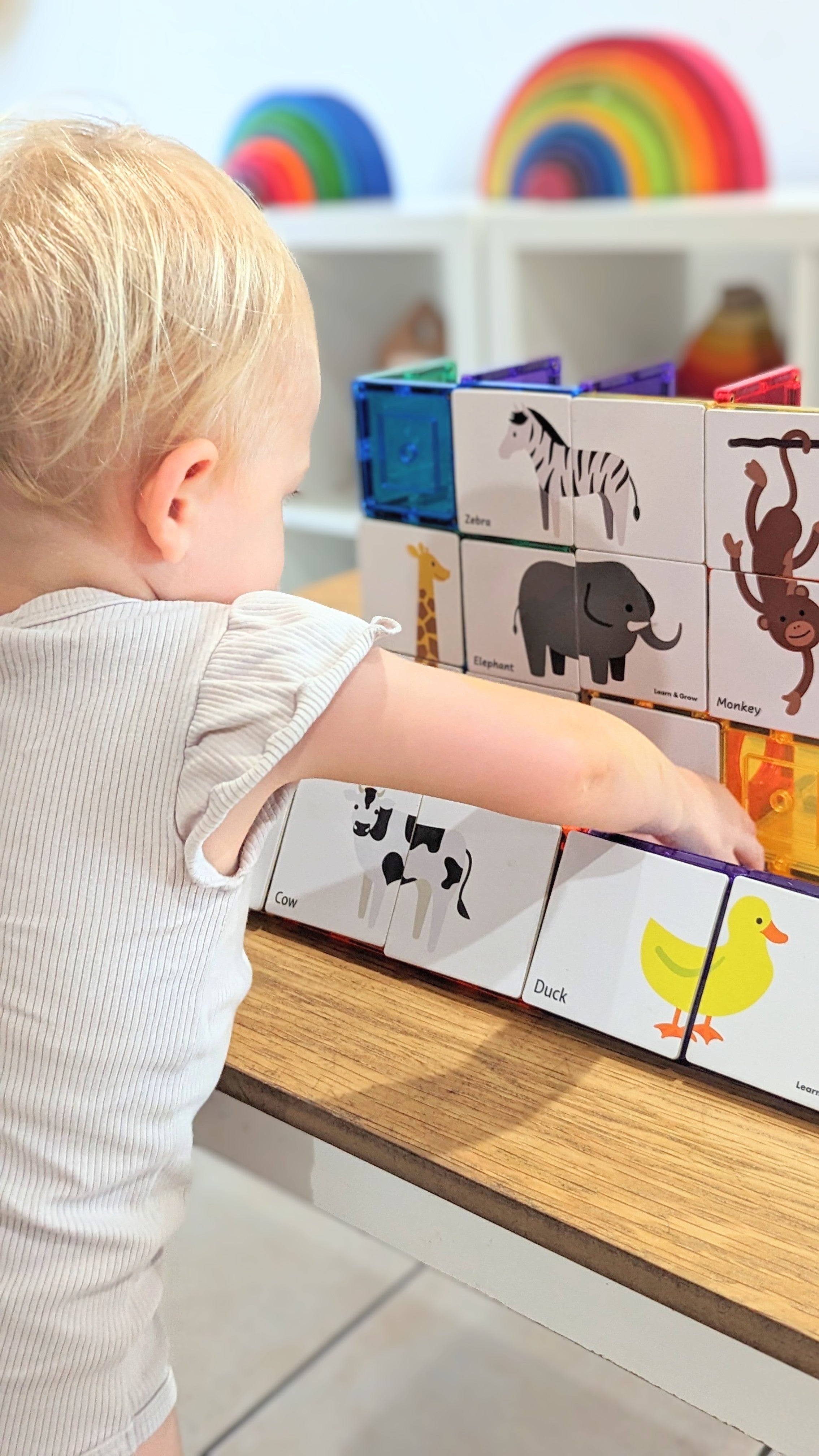 Learn And Grow - Magnetisch constructiespeelgoed Toppers Dieren - 40 stuks