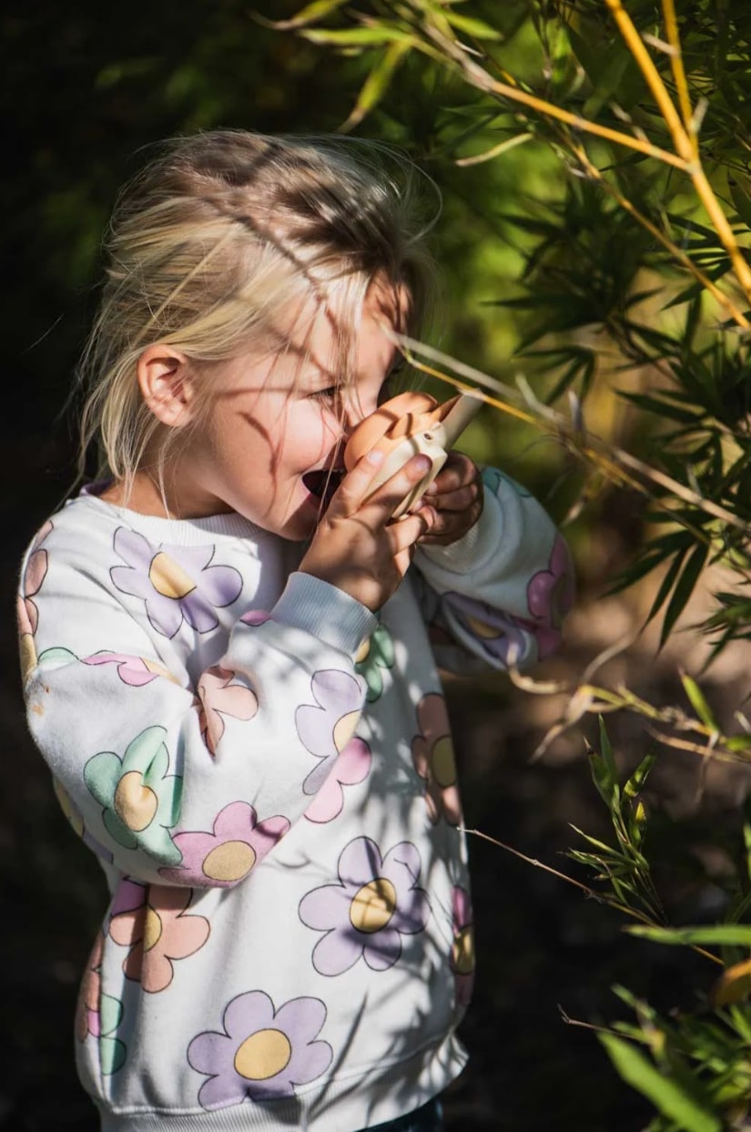 The Zoofamily - Walkie Talkie Rabbit Bear