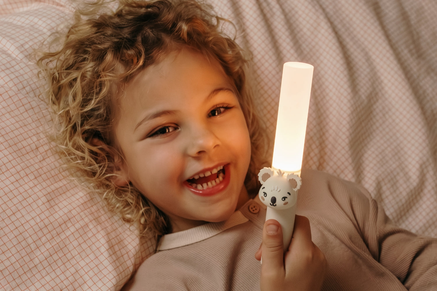 The Zoofamily Zoo Light Koala
