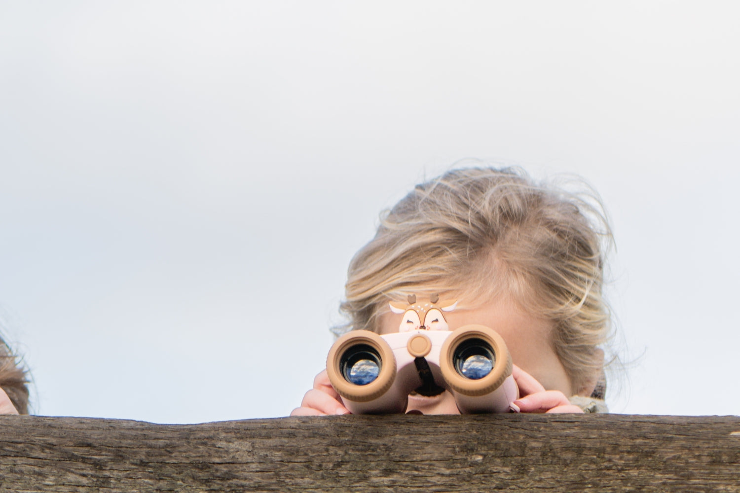 The Zoofamily Zoo Eyes Hert