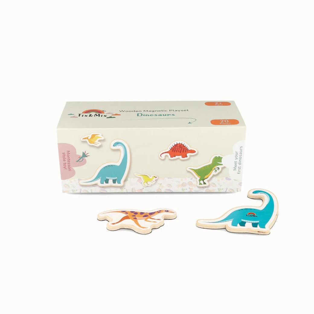 Tix&Mix - Magnetische Speelset Dinosaurussen, 20-delig