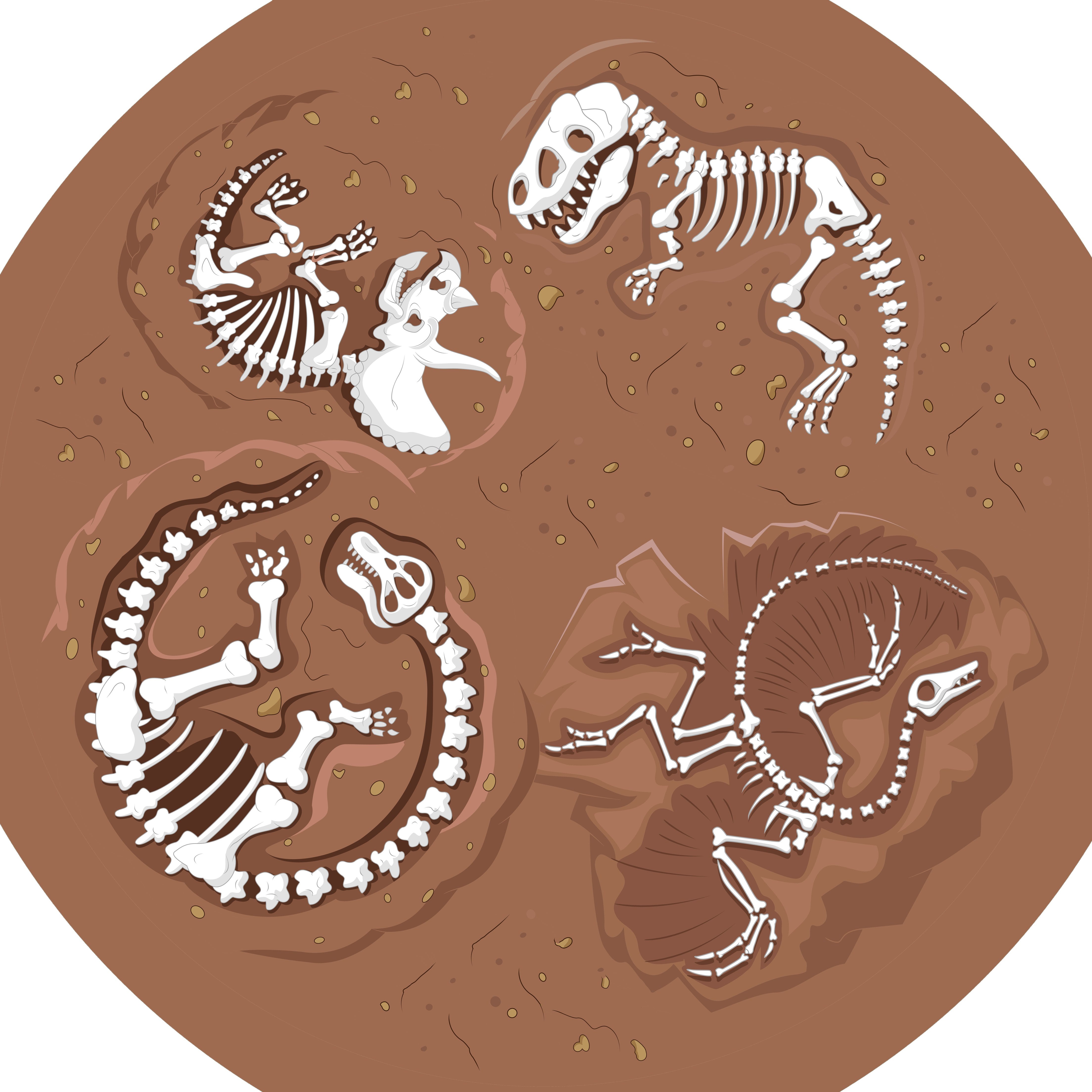 Tuff Tray - Groot Vilten Mat Dinosaurus Fossiel (88×88 cm)