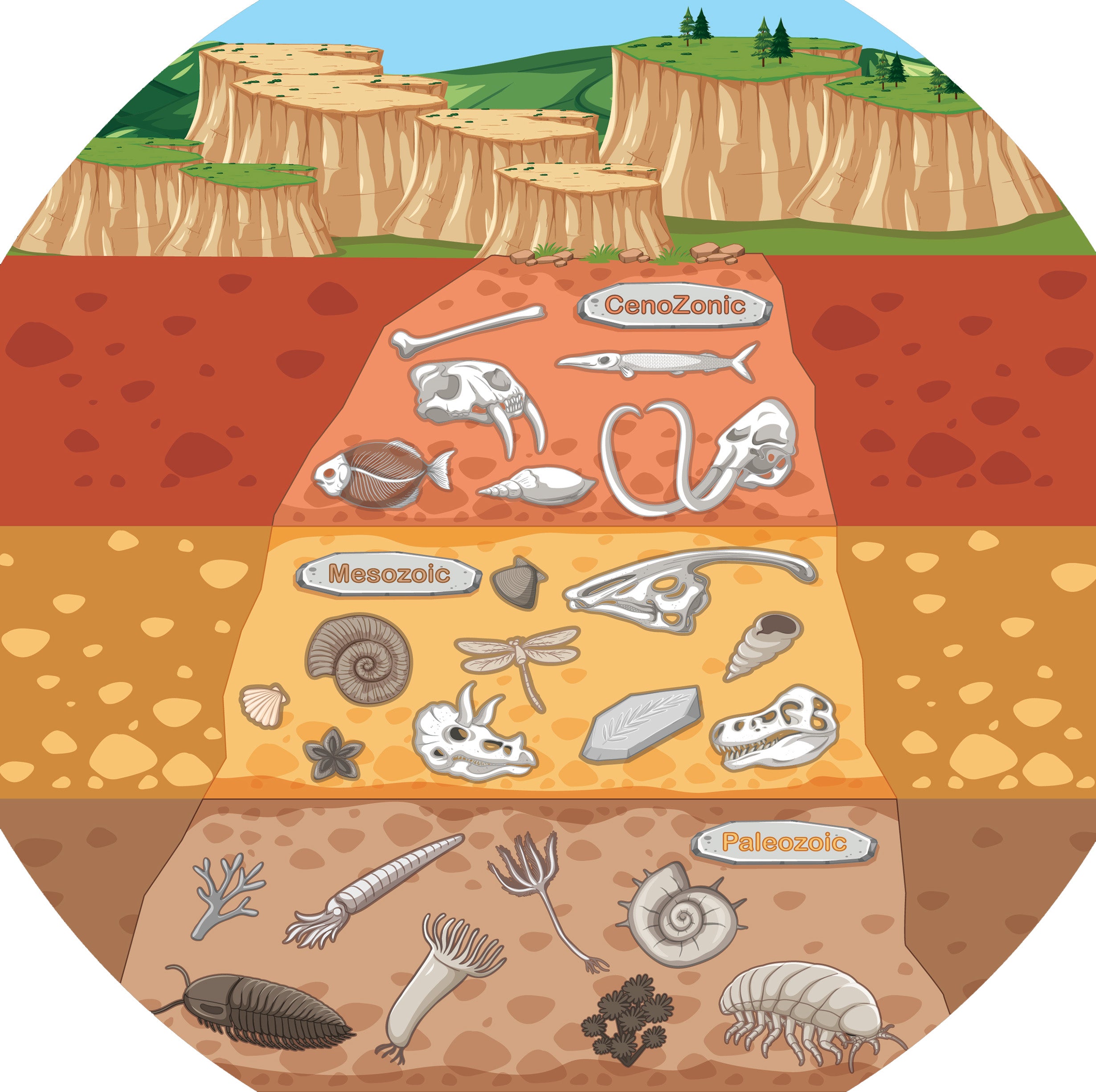 Tuff Tray - Junior Vinyl Mat Fossiel Aardlagen (60×60 cm)