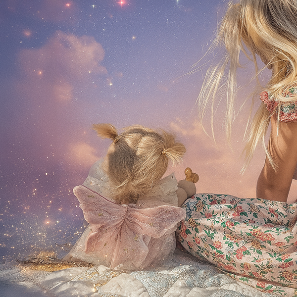 Dinkum Dolls - Dream Dinkum pop Fairy Willow roze