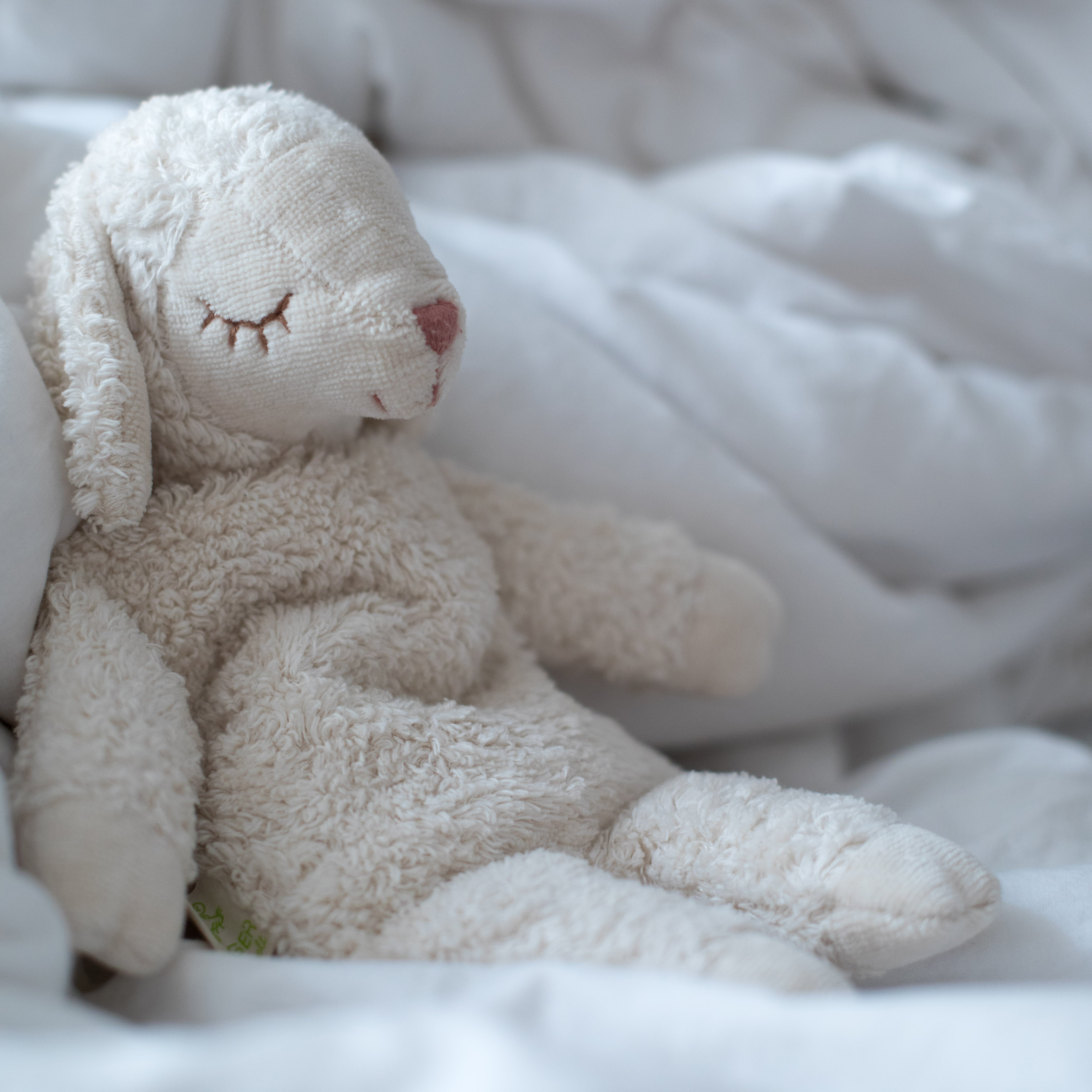 Senger Naturwelt - Knuffeldier Schaap Warmtekussen Klein - Wit