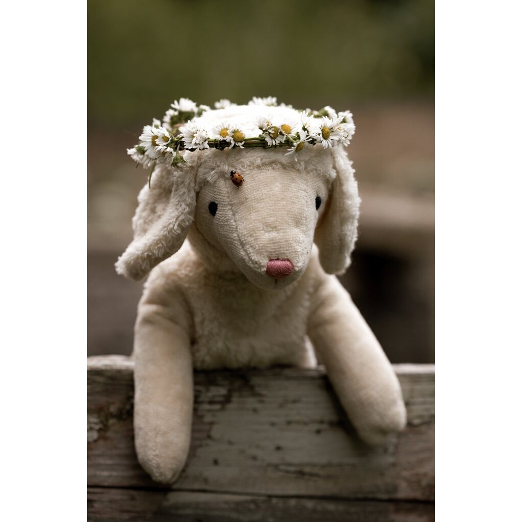 Senger Naturwelt - Floppy Knuffel Schaap Klein - Wit