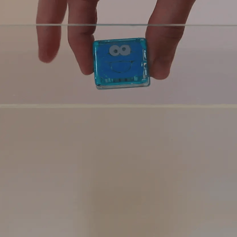 Glo Pals - sensorische lichtgevende blokjes voor in bad of sensorisch spel - Sesamstraat Cookie Monster - 4 stuks