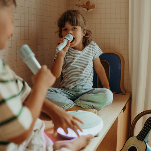 Kidywolf KIDYKARAOKE Draagbare Luidspreker met 2 microfoons