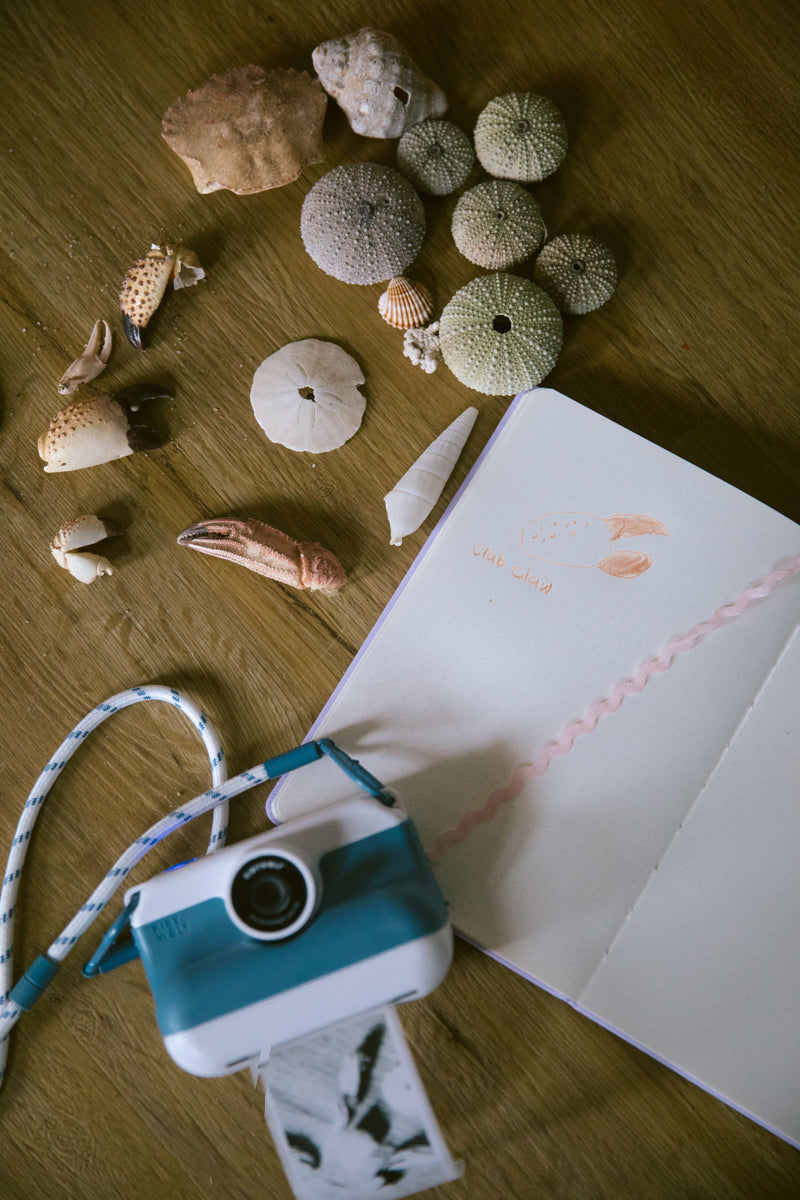 Kidywolf - K-Print Blauw