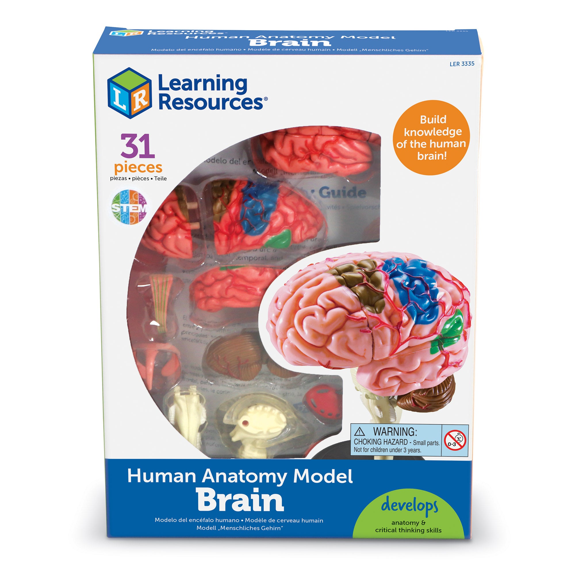 Learning Resources - Anatomie Model - Menselijk Brein