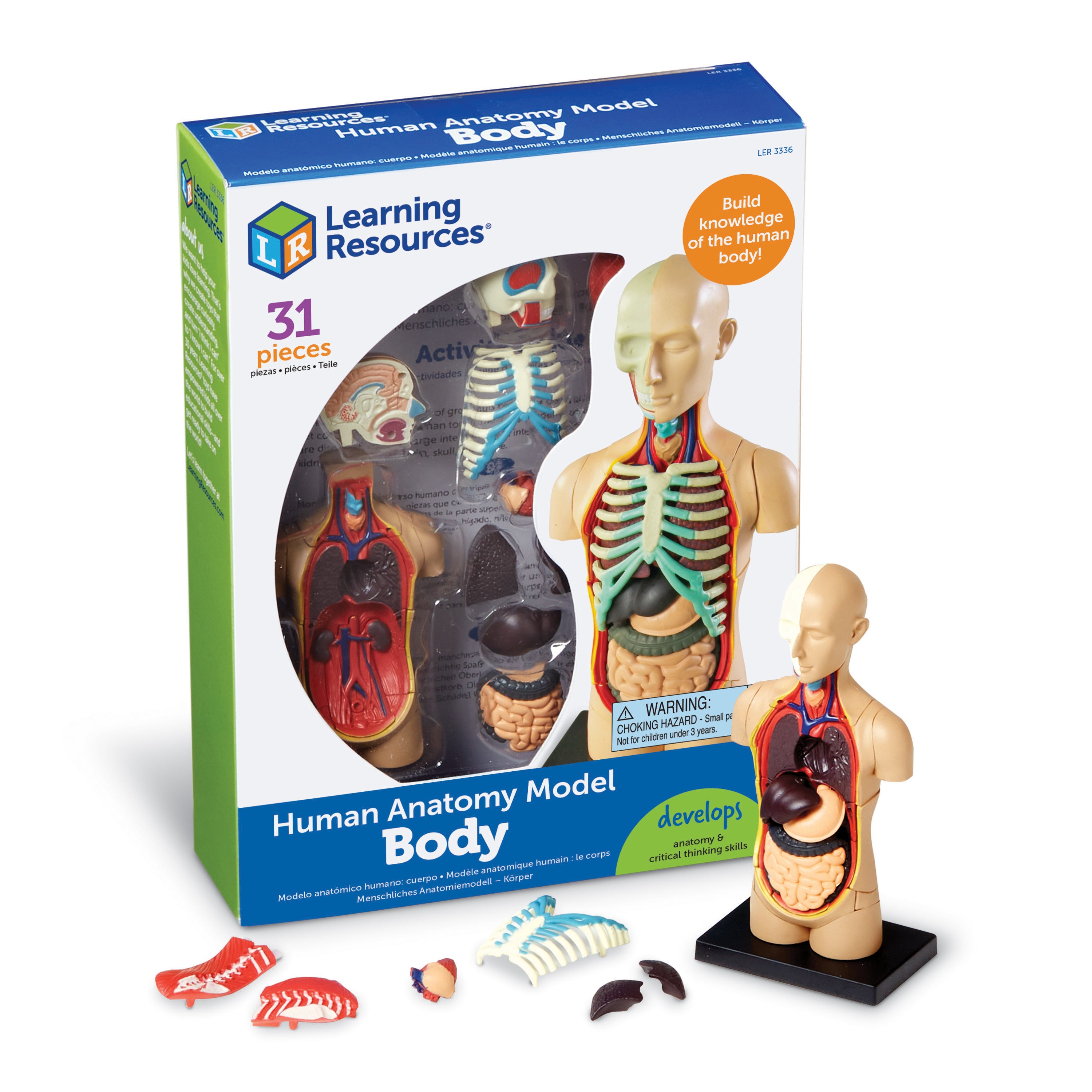 Learning Resources - Anatomiemodel Menselijk Lichaam