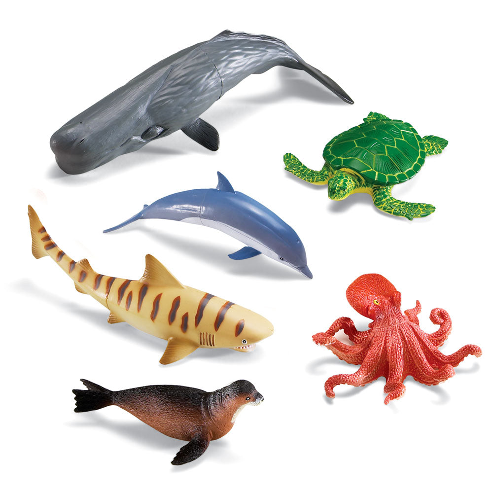Learning Resources - Jumbo Oceaandieren