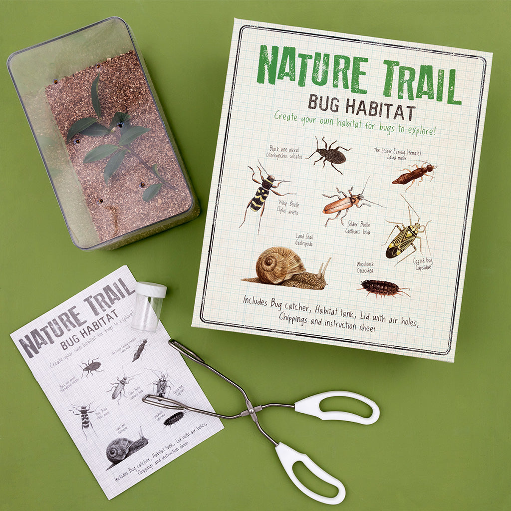 Rex London - Maak je eigen insectenverblijf Nature Trail